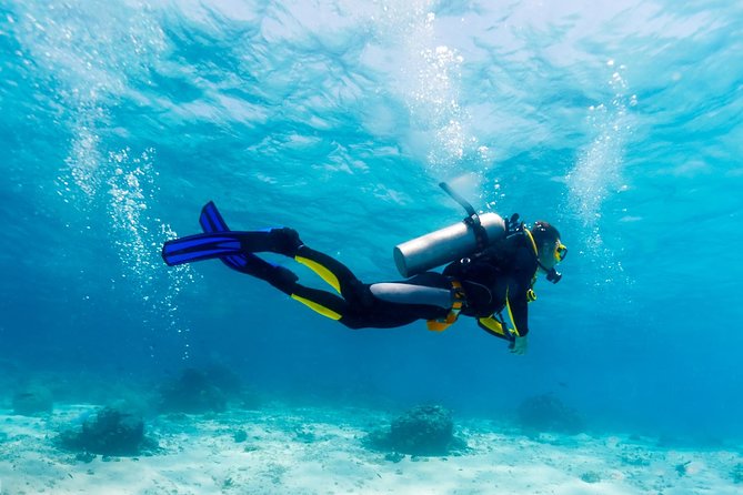 Scuba Referral Dives & Beach Club with Transportation In Riviera Maya - Preparing the equipment before the boat ride