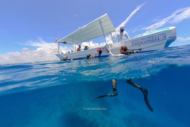 Scuba Referral Dives & Beach Club with Transportation In Riviera Maya - How good is the instruction?