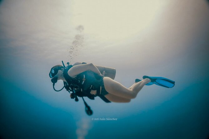 Scuba Referral Dives & Beach Club with Transportation In Riviera Maya - Is $300 a fair price?