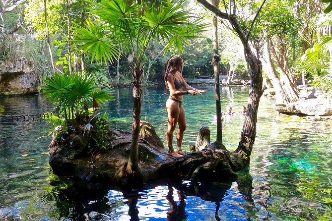 Sea turtle and cenotes half day Snorkeling Tour from Riviera Maya - What the $99 price includes