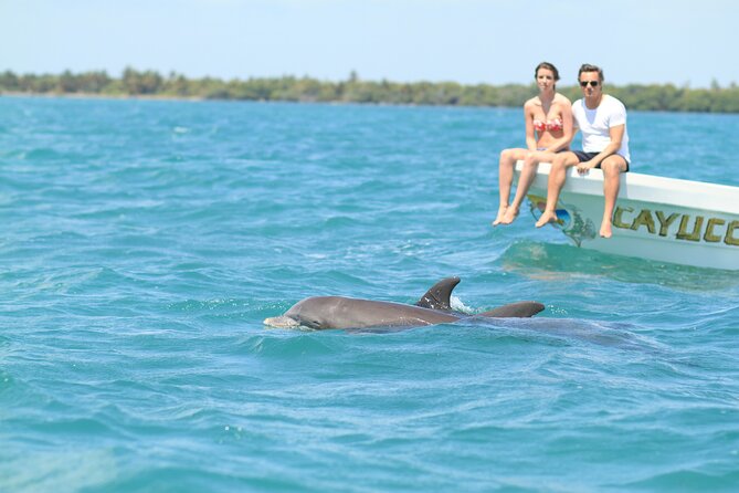 Sian Ka'an Adventure Full Day Trip to Punta Allen - Key points at a glance