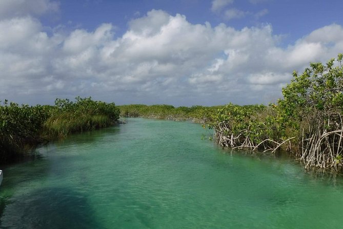 Sian Ka'an Adventure (Private, Full Day) - The guide can shape the day