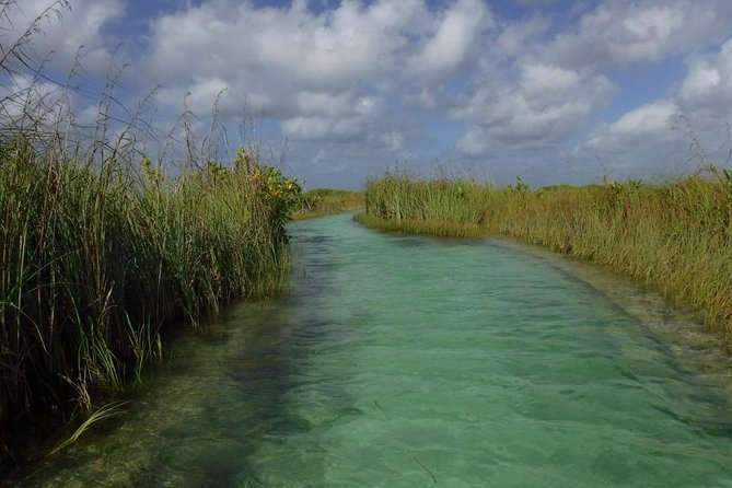 Sian Ka'an Adventure (Private, Full Day) - What the two-hour reserve visit feels like