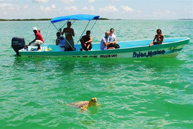 Sian Ka'an Biosphere Full Day Boat Tour with Lunch - Forty-five minutes at the reef