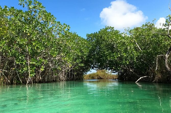 Sian Ka'an Biosphere Reserve Guided Tour - Muyil, where jungle and Maya history meet