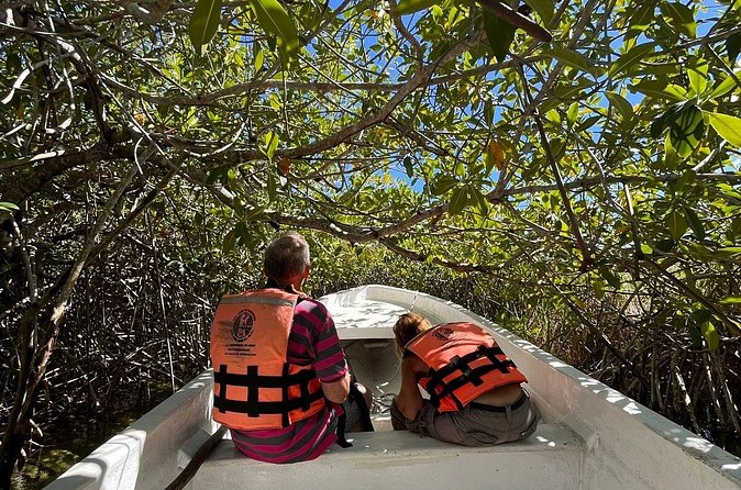 Sian Ka'an Biosphere Reserve Guided Tour - Is $250 per person a fair price?