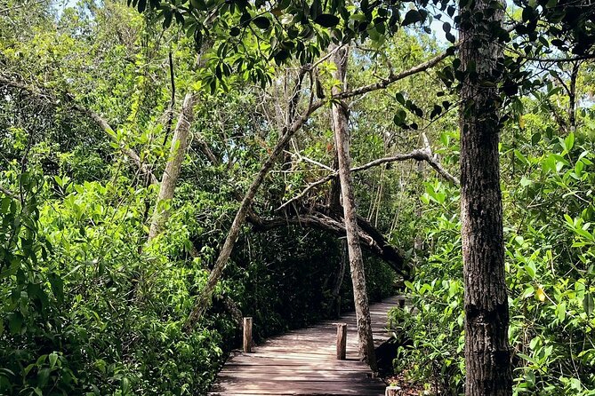 Sian Ka'an Biosphere Reserve Guided Tour - Who will enjoy this tour most?