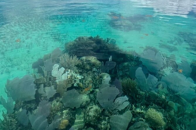 Sian Ka'an Boat Experience from Riviera Maya to Tulum - Punta Allen gives the day a human side