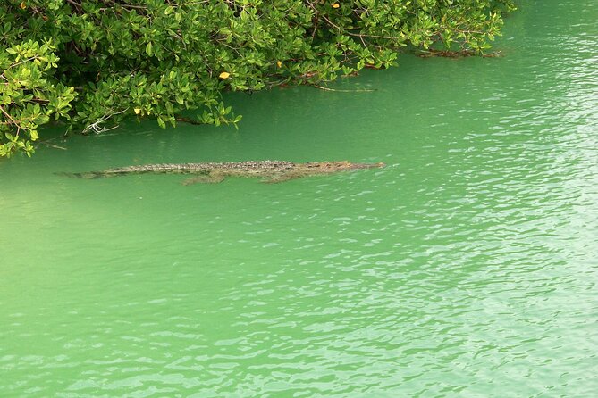 Sian Ka'an Boat Experience from Riviera Maya to Tulum - The guide can shape the whole day