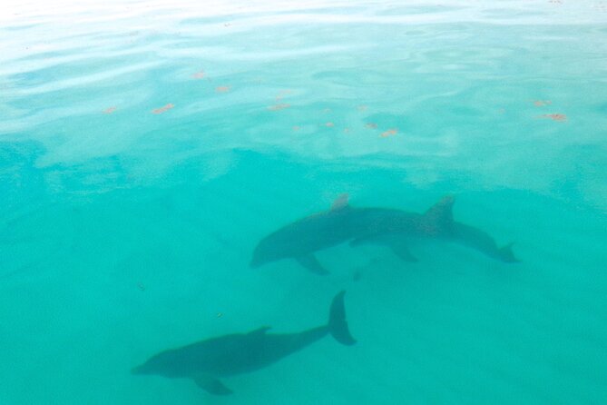 Sian Ka'an Boat Experience from Riviera Maya to Tulum - The 6:30 am start from Playa del Carmen