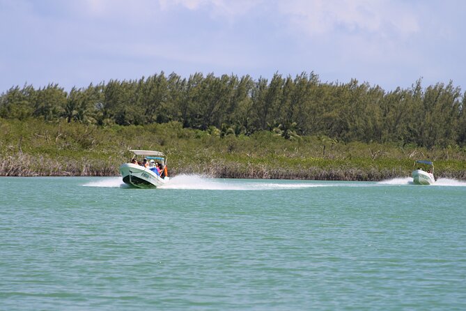Sian Ka'an Classic - Searching for turtles, dolphins, and crocodiles