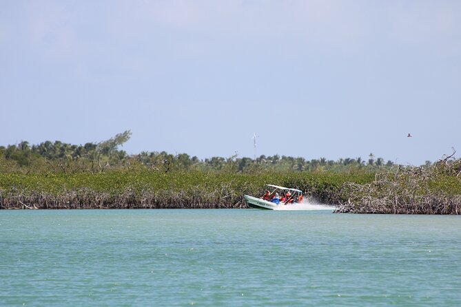 Sian Ka'an Classic - Punta Allen, clear pools, and the included meal