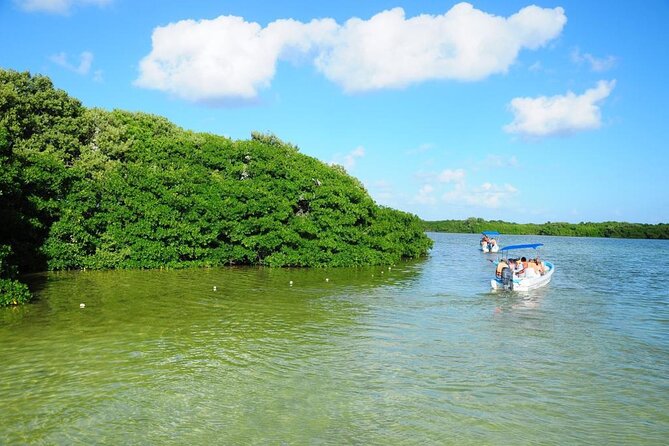 Sian Ka'an Trip from Playa del Carmen & Tulum - Entering Sian Ka’an before breakfast