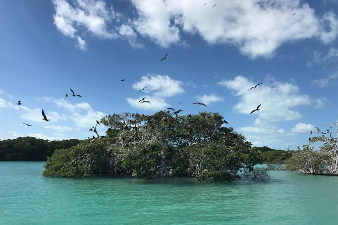Sian Ka'an Trip from Playa del Carmen & Tulum - The guide can make or break the day