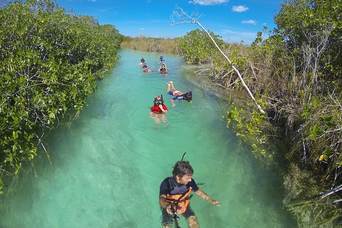 Sian Kaan Lagoons - Who will enjoy this morning most
