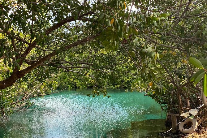 Small-Group 3 Cenotes Adventure Tour - Lunch gives the day a needed pause