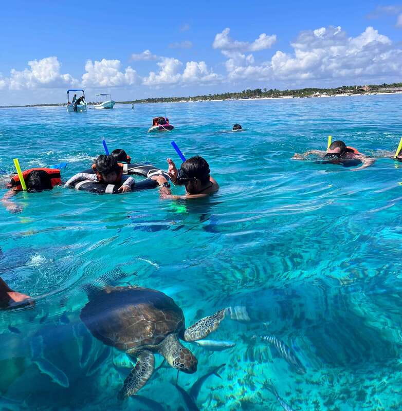 SNORKEL IN TULUM REEF, BOAT RIDE AND CALETA - FAQ