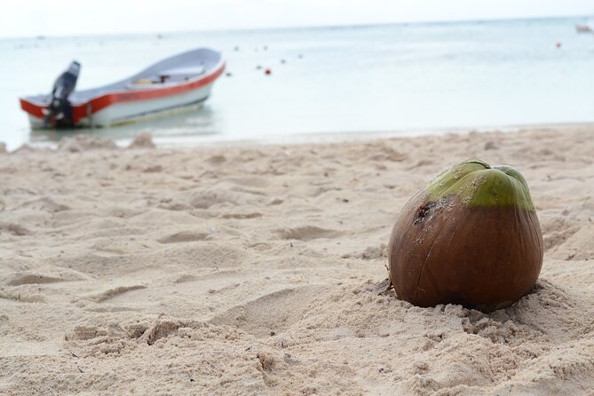 Snorkel Tour! Turtles & Underground Cenote from Playa del Carmen - Timing, pickup, and cancellation rules