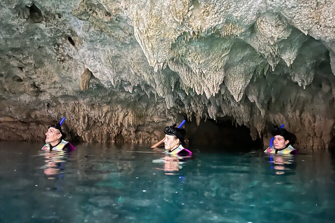 Snorkeling Activity in a Cenote Expedition - Casa Cenote: an open-water start with wildlife