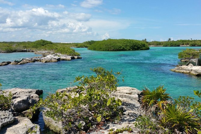 Snorkeling adventure in Yal-Kú lagoon, + Underground Cenote - Yal-Kú Lagoon: a calm start with tropical fish