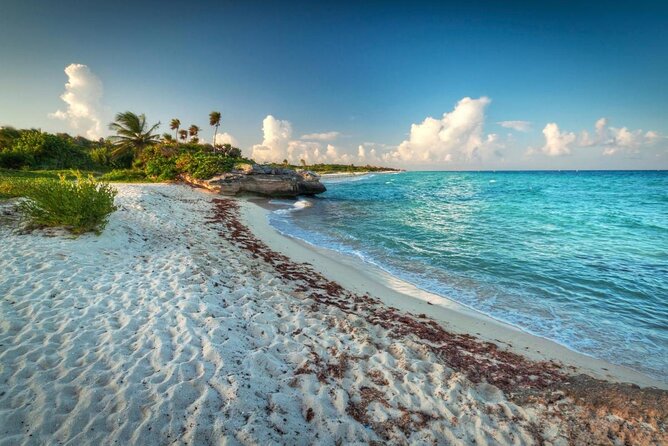Snorkeling Adventure Tour Reef & Cenote - From Tulum Bay to the reef