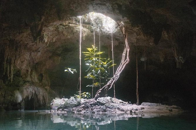 Snorkeling Adventure Tour Reef & Cenote - Should you book the Reef and Cenote Adventure?