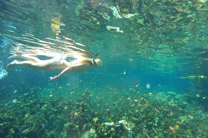 Snorkeling Adventure Tour Reef & Cenote - FAQ