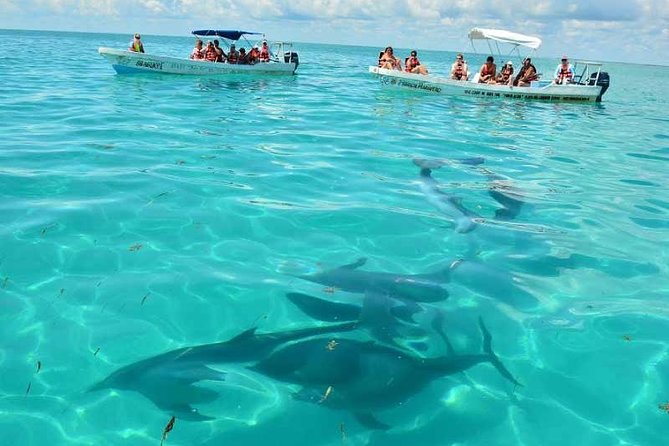 Snorkeling in Sian Ka'an - A long road into Sian Kaan