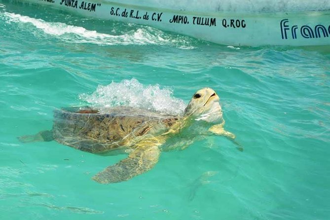 Snorkeling in Sian Ka'an - Punta Allen and the boat launch