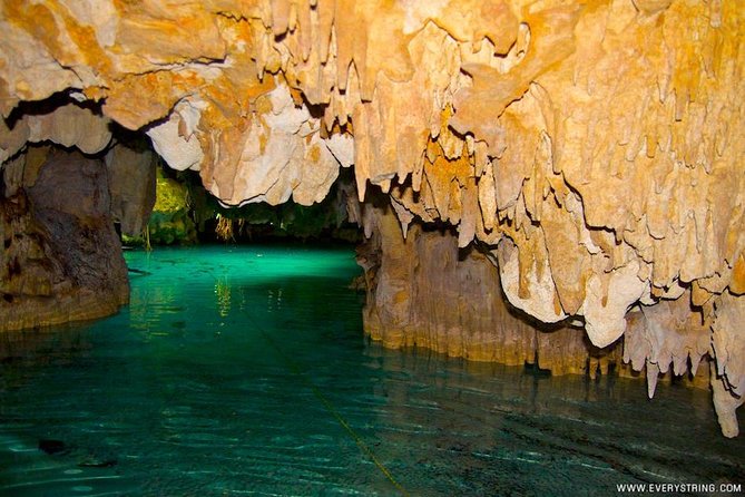 Snorkeling with Caribbean fish and private cenote exploration - Is $169 a fair price?