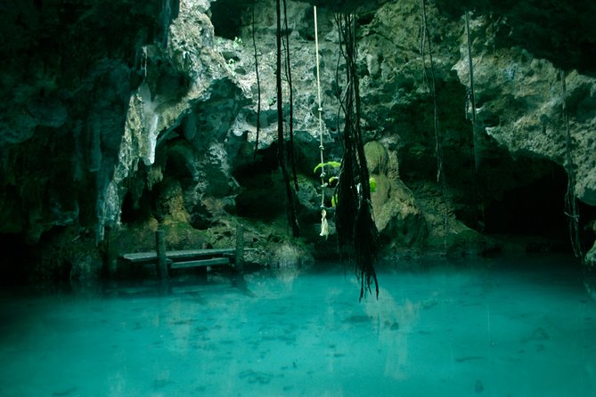 Snorkeling with Caribbean fish and private cenote exploration - Who should book this experience?