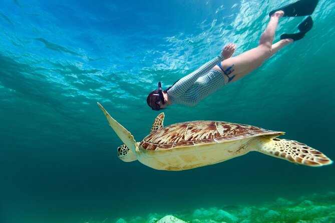 Snorkeling with Turtles and Cenotes - Cenote Caracon: cool water and cave walls
