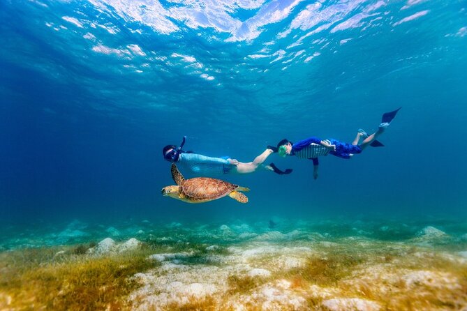 Snorkeling with Turtles and Cenotes - Weather, cancellation, and timing