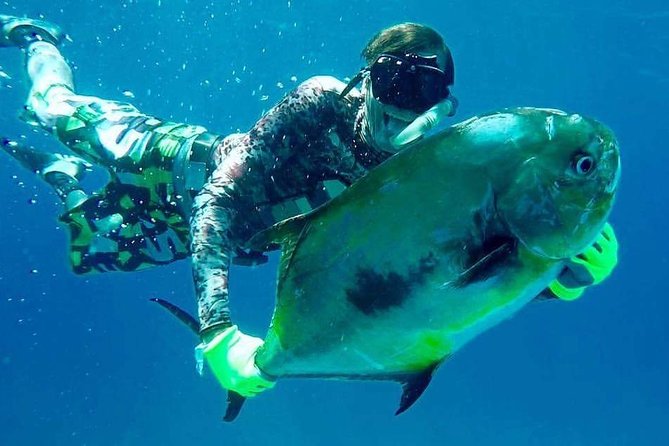 Spearfishing Playa del Carmen or Tulum - A four-hour morning on the Caribbean