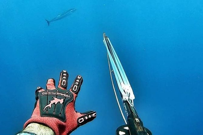 Spearfishing Playa del Carmen or Tulum - Is $400 good value for two people?