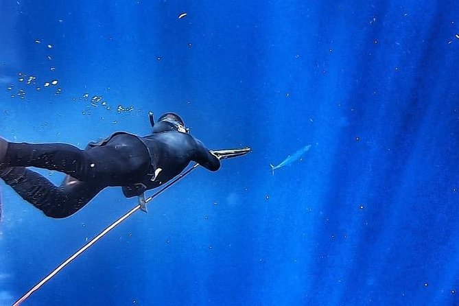 Spearfishing Playa del Carmen or Tulum - Who should book this Tulum experience?