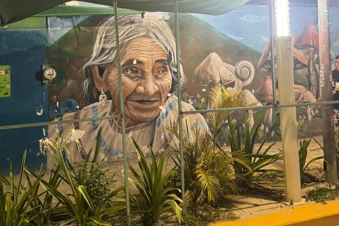 Street Art & Cemetery Cultural Tour - half day - Why Street Art Is a Good Way to Meet Playa del Carmen