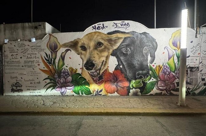 Street Art & Cemetery Cultural Tour - half day - Tacos, Local Cafes, and a Useful Food Break