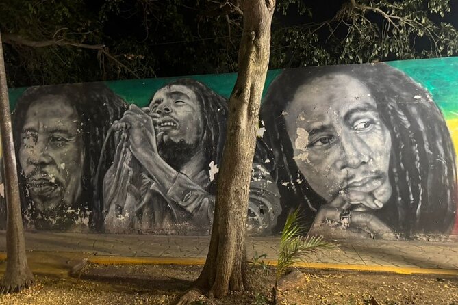 Street Art & Cemetery Cultural Tour - half day - Who Will Get the Most From This Tour