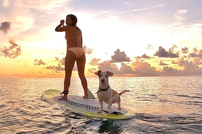 Sunrise Paddle Surf - Why a 6:00 am paddle works so well
