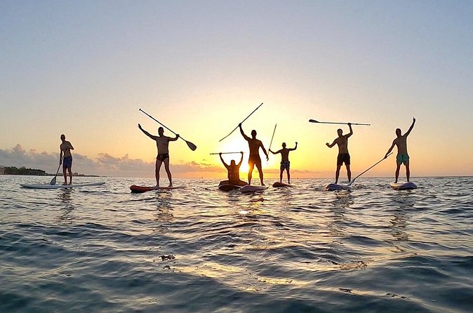 Sunrise Paddle Surf - From the sand to the Mexican Caribbean