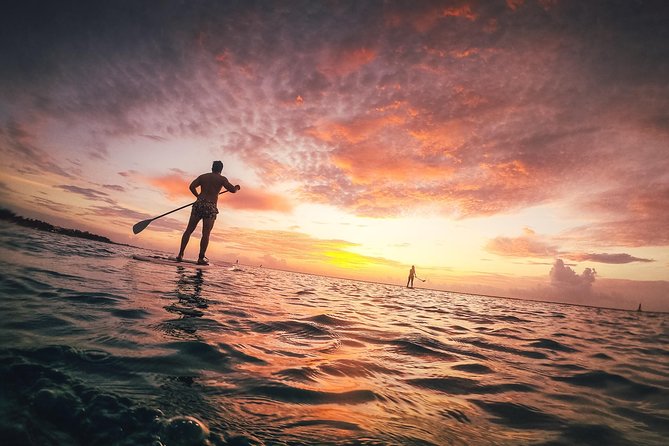 Sunrise Session - The #1 Paddleboard Tour On The Caribbean Sea - Paddling Into the First Light