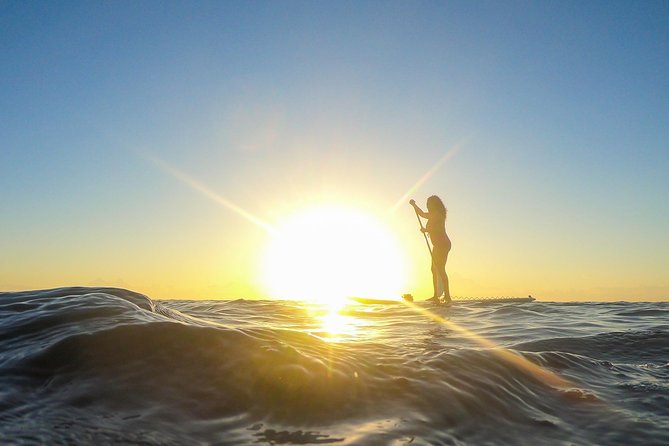 Sunrise Session - The #1 Paddleboard Tour On The Caribbean Sea - Is $50 a Fair Price?