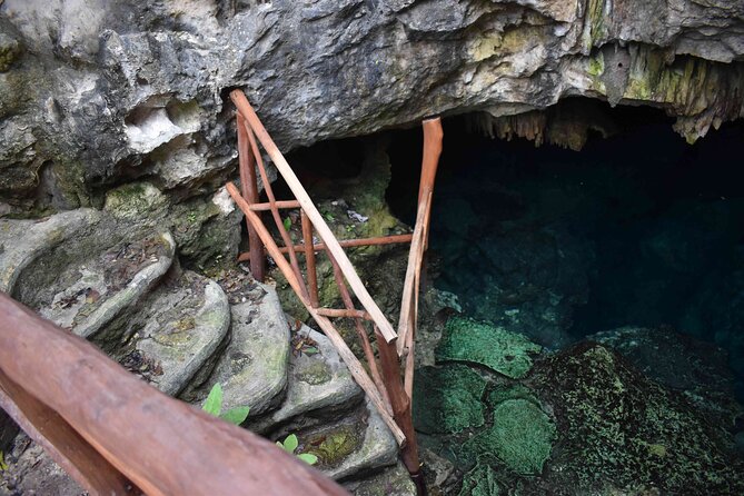 Swim in 4 different Cenotes in Casa Tortuga Park - What the guided portion is really like