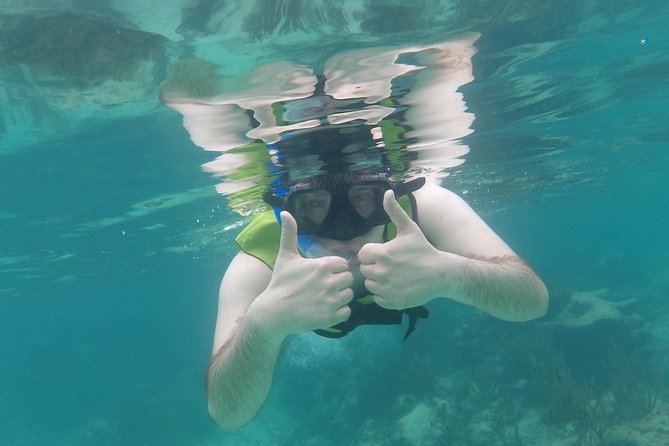 Swim with sea turtles - Getting to the meeting point