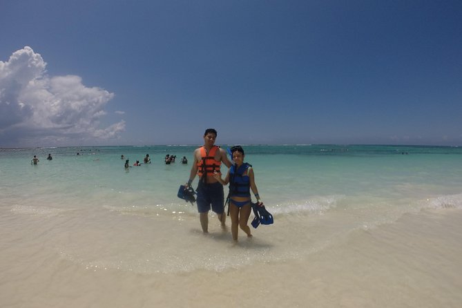 Swim with sea turtles - Which departure time should you choose?