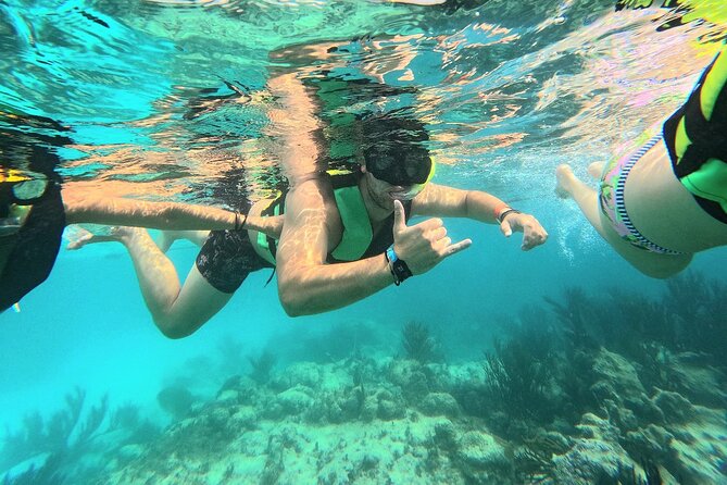 Swim with Turtles in Akumal + GoPro Photo Session - Why the private format is worth considering