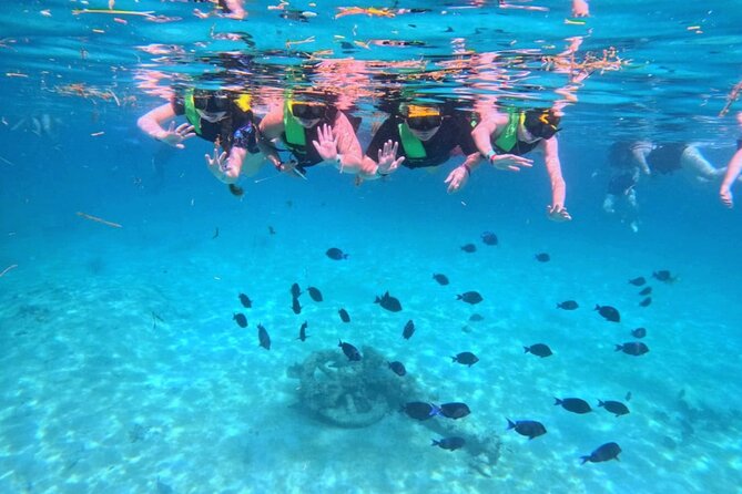 Swim with Turtles in Akumal + GoPro Photo Session - Timing, meeting point, and the rest of your day