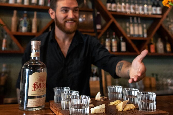 Tequila and Mezcal Tasting in Tulum with Cheese Pairing - Six glasses, six ways to read Mexican spirits