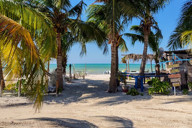 The best of Holbox from Tulum - Guide service and the human side of the day